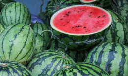 库尔勒吃瓜最新事件爆料