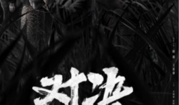 电视剧对决,传奇英雄的荣耀之战