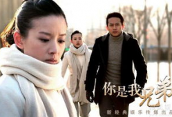 电视剧你是我兄弟全集在线观看,兄弟情深，命运交织的感人故事