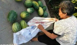 包头吃瓜最新事件爆料,揭秘背后惊人真相